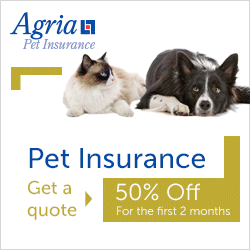 Get a quote from Agria Pet Insurance