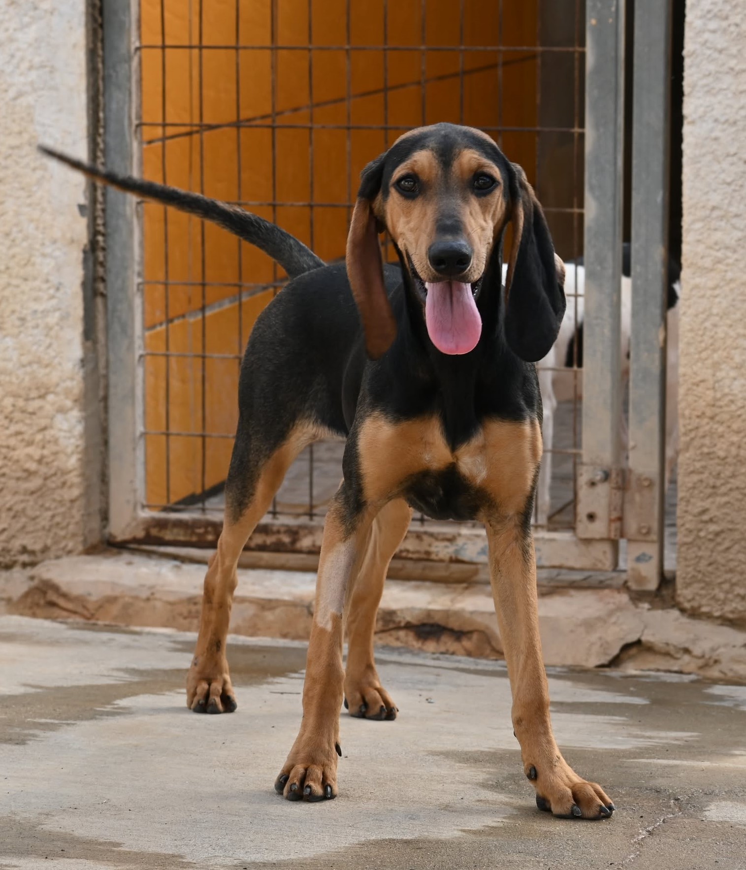 600713060_875041348414518_852448708690105433_n