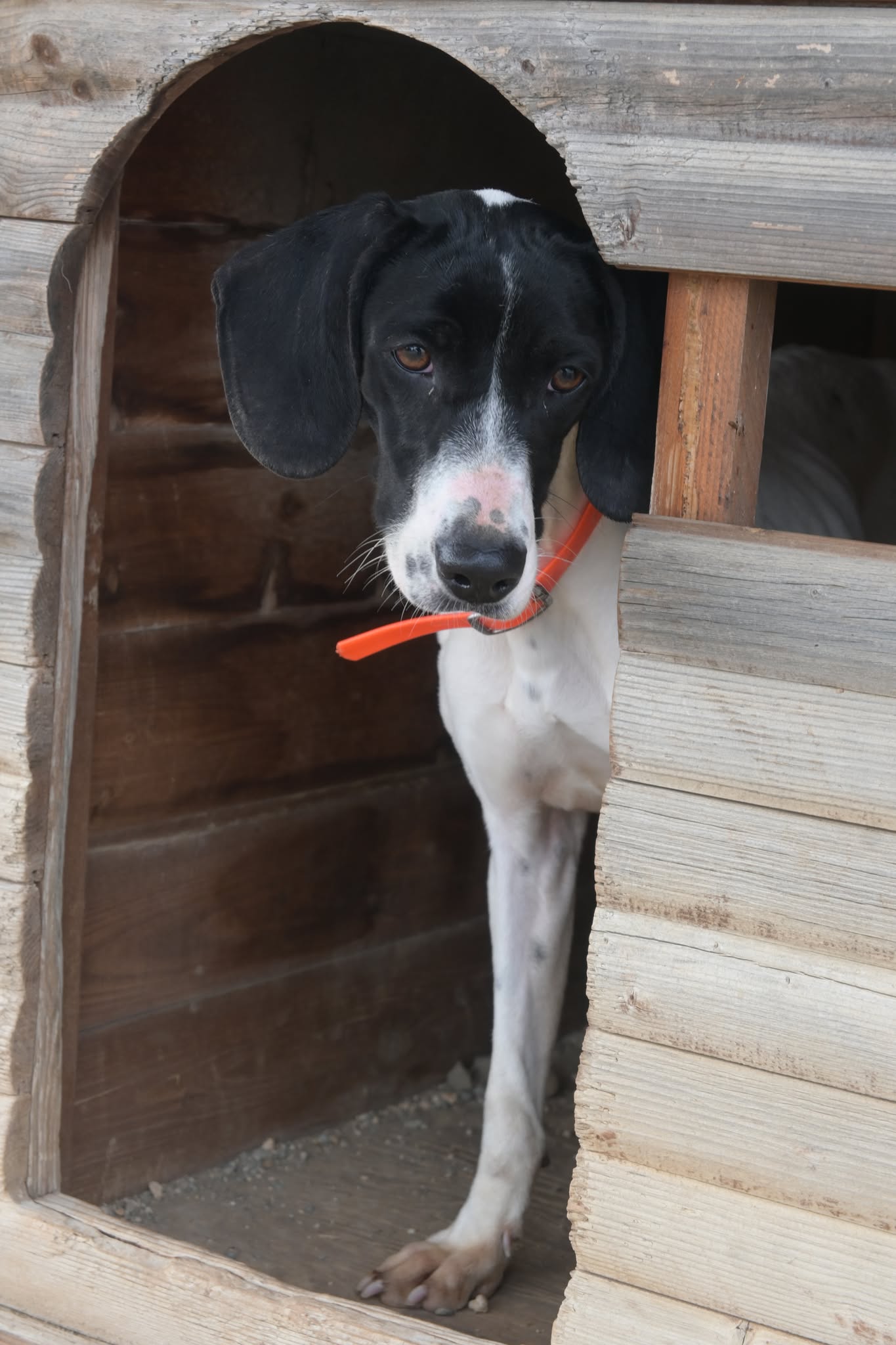 620457887_1311832887374814_1488052682683966429_n