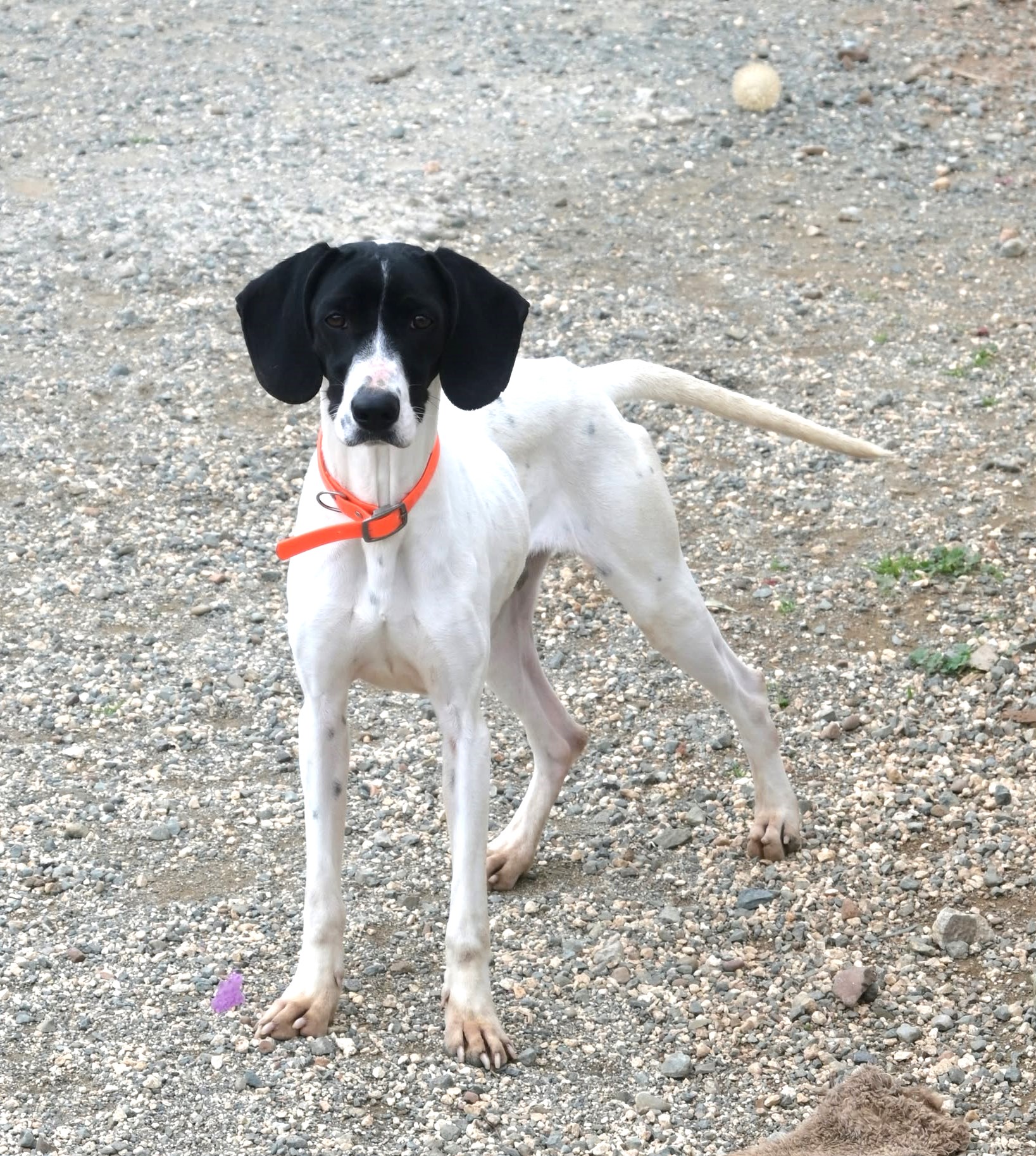 621844064_1947156276683864_8886603062010382537_n