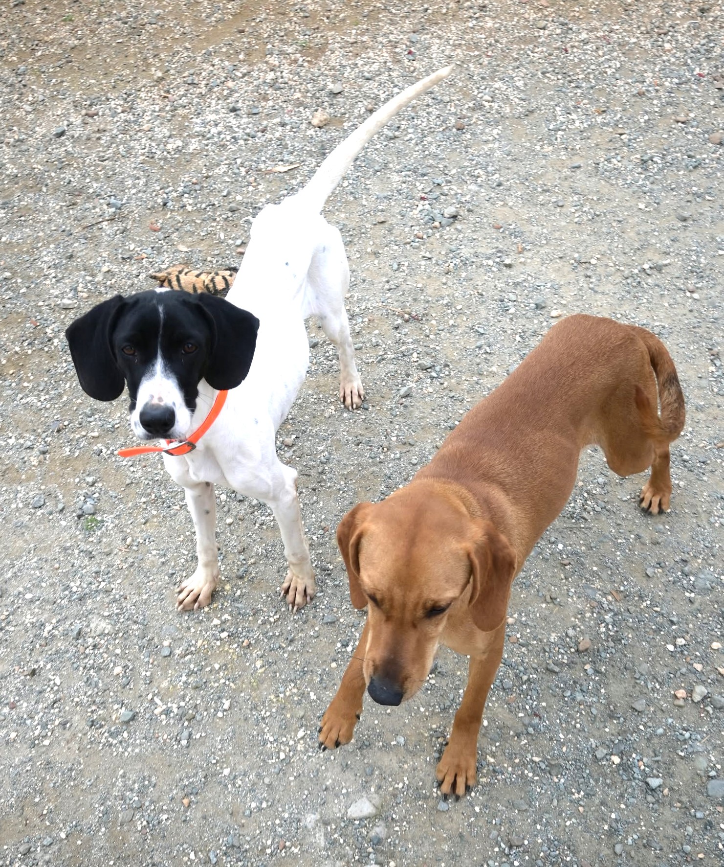 622047624_2177869552984643_478043644539458785_n