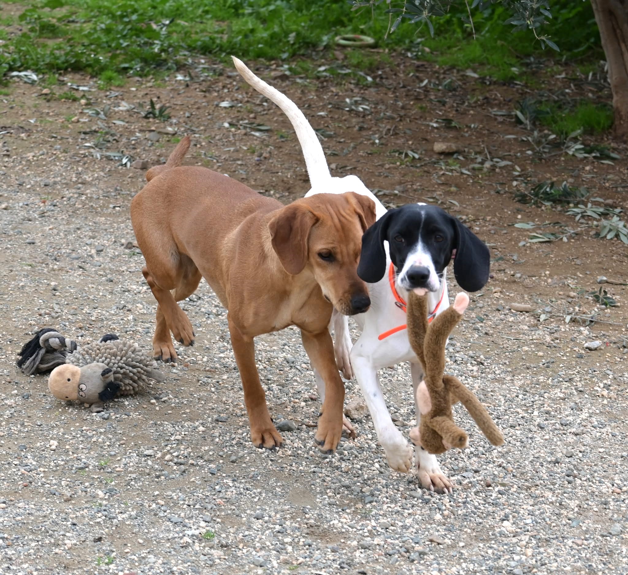 622131822_1346157143981697_2461021368515116656_n