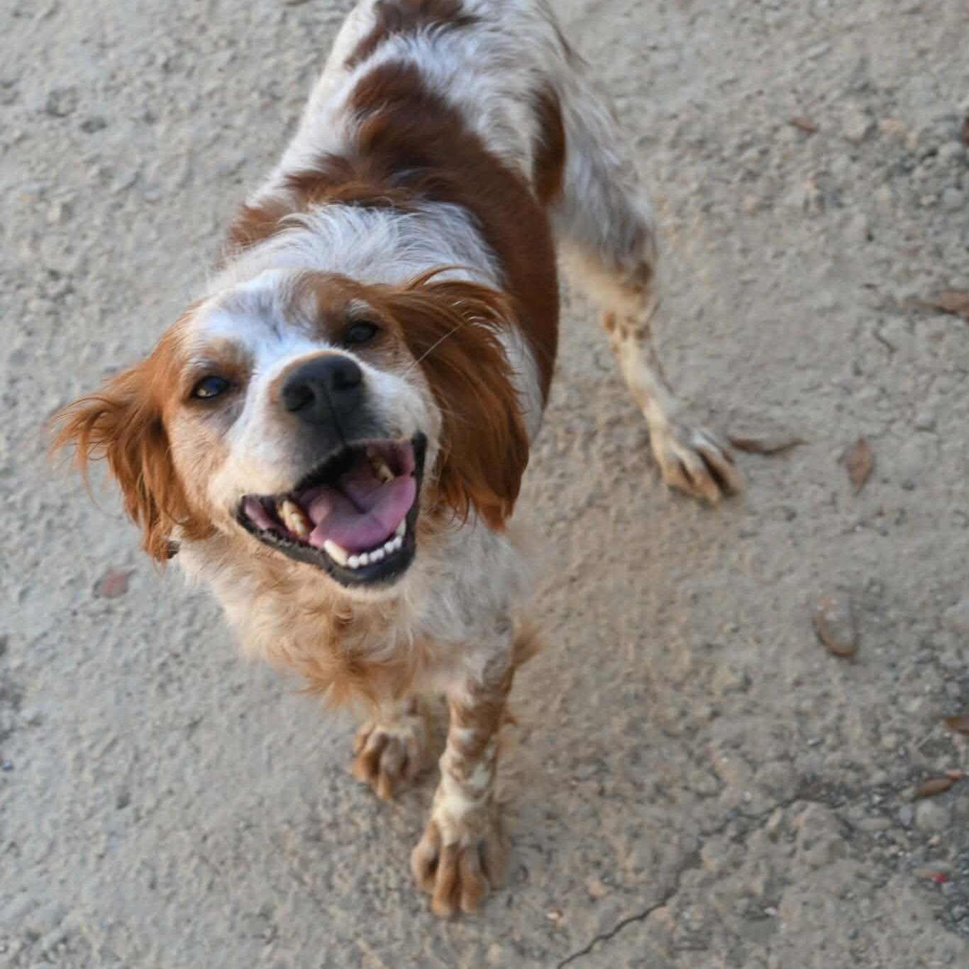 LuLu